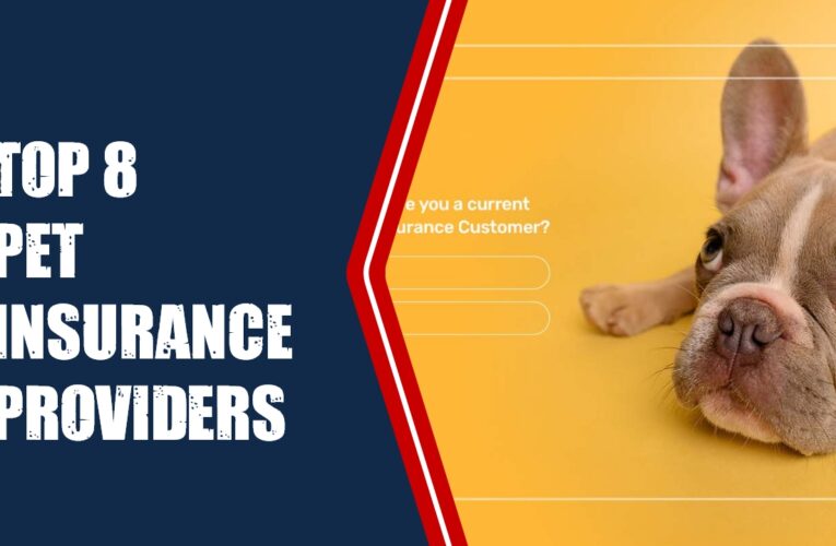 Top 8 Pet Insurance Providers in the UK: A Comprehensive Overview